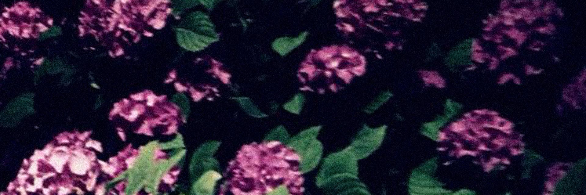 ClaudiaCup's profile banner image