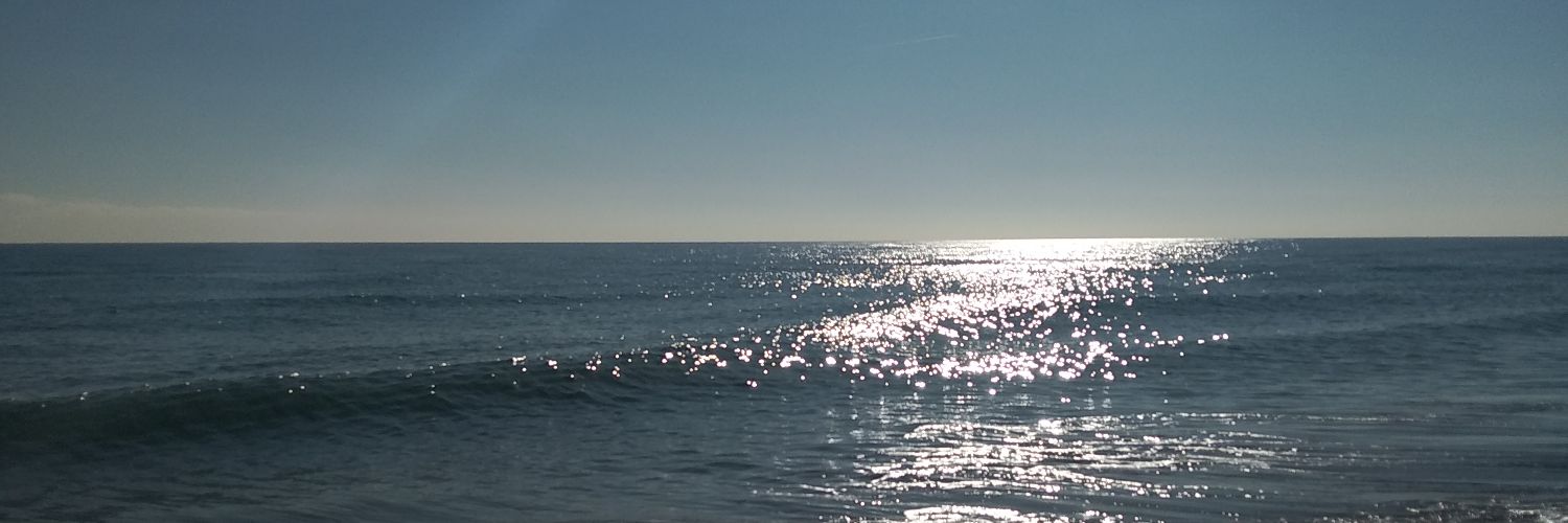 Maria del Mar de No banner