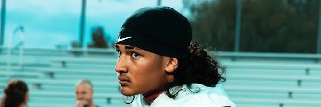 Bronson Pulu banner