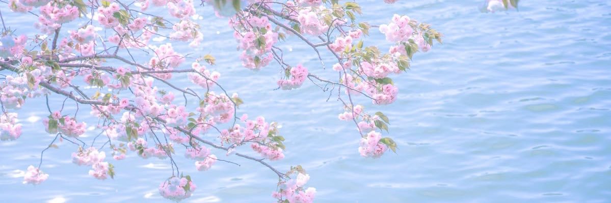 linoa, missing twice ໒꒱ 𓏲ּ𝄢 banner