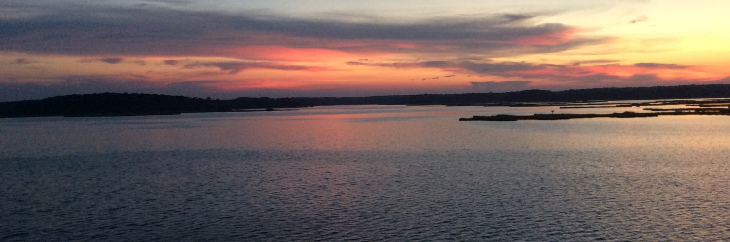 Neil Newhouse banner