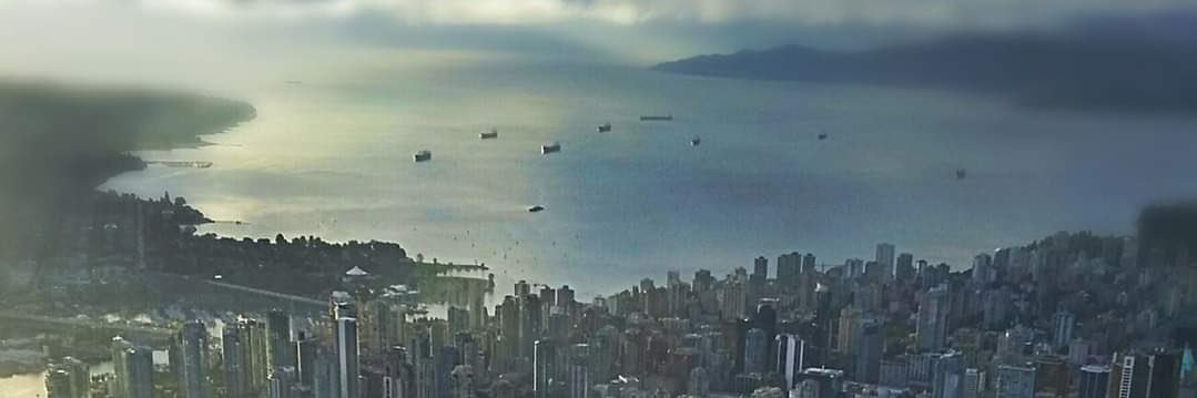 Cameron Davis banner