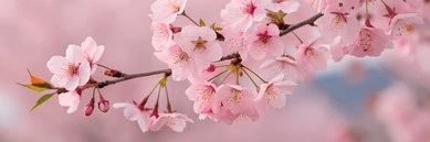 사자 banner