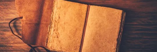 Diaries banner