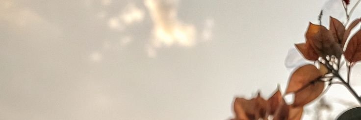 Rachel Watts banner