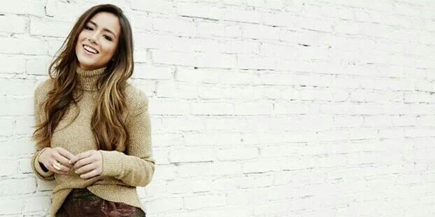 SkyeAgent's profile banner image