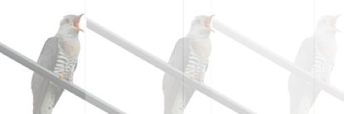 hana_bud's profile banner image