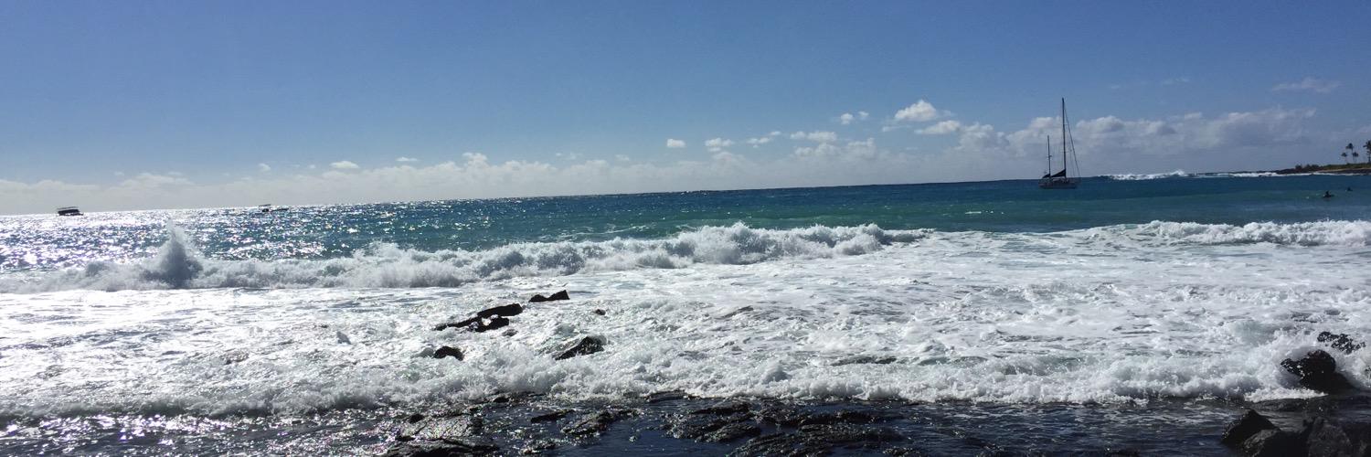 sampalmtree's profile banner image