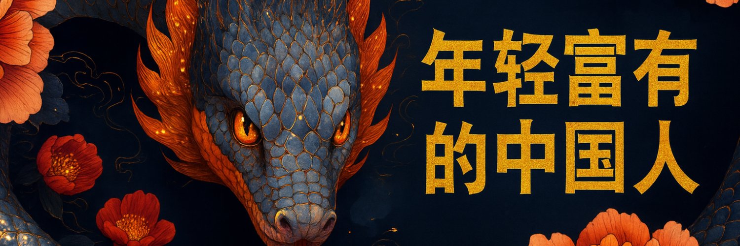 年轻富有的中国人 banner