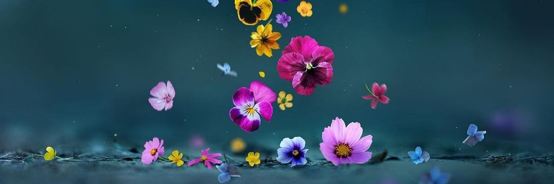 Ana_SetiakuFz's profile banner image