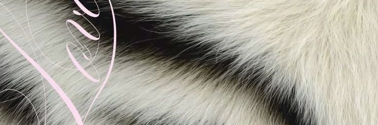 🍸 banner