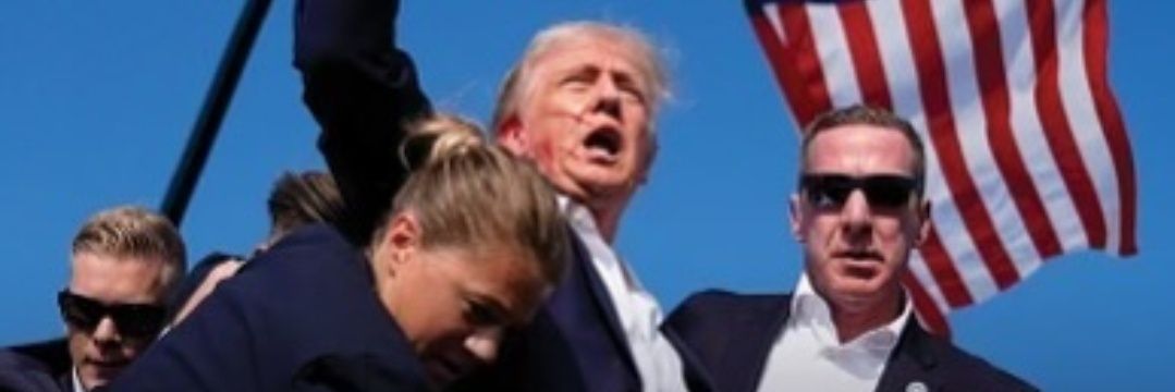 AnneMarie 🌸 banner