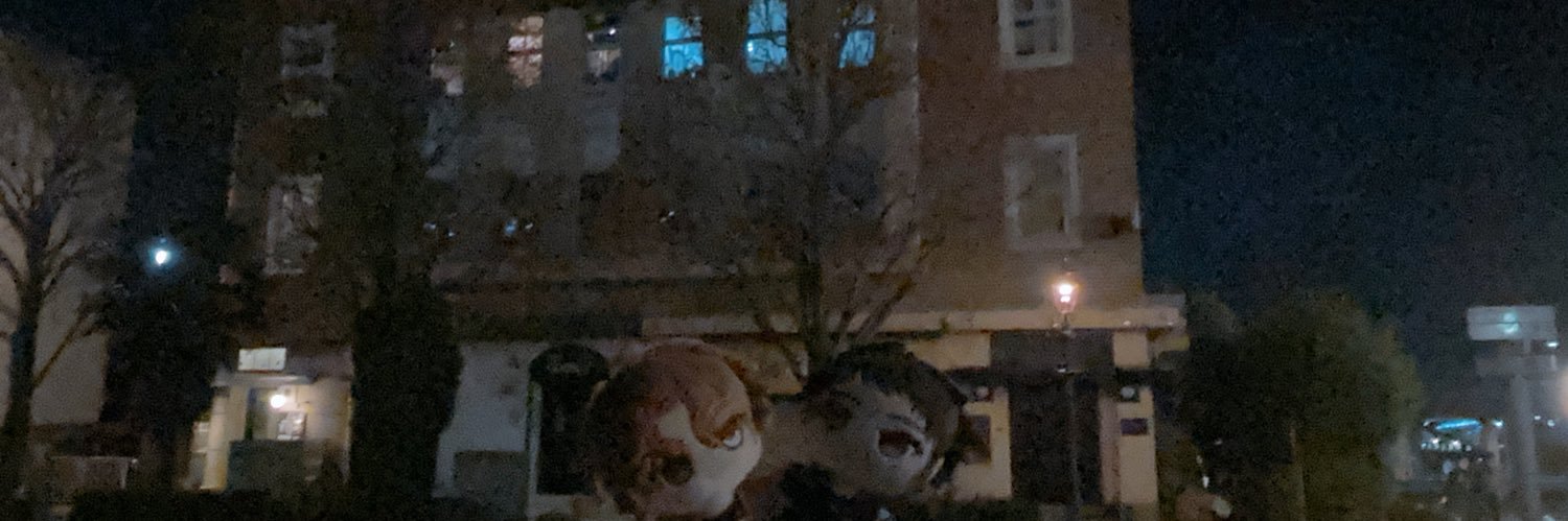 nosetaro_'s profile banner image