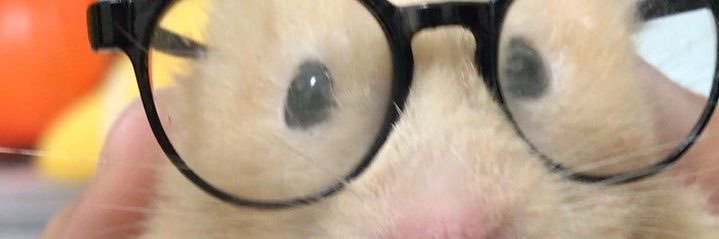 Amo 💧 qifreys hat banner
