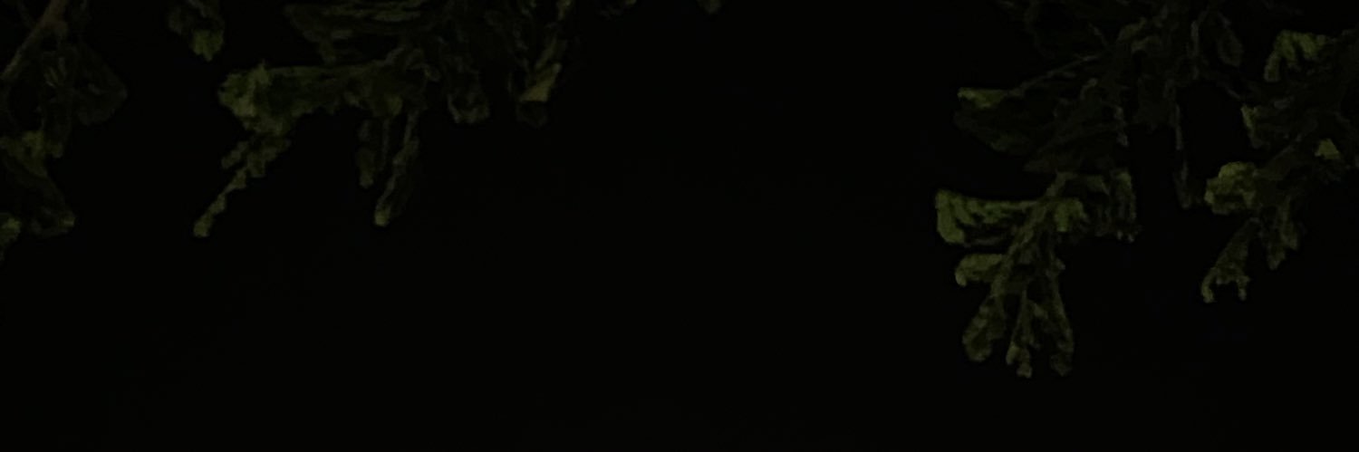 Xzia01's profile banner image