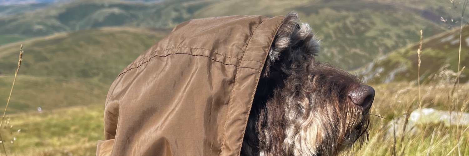 t3ailik3's profile banner image