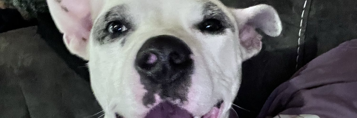 murphjestix's profile banner image