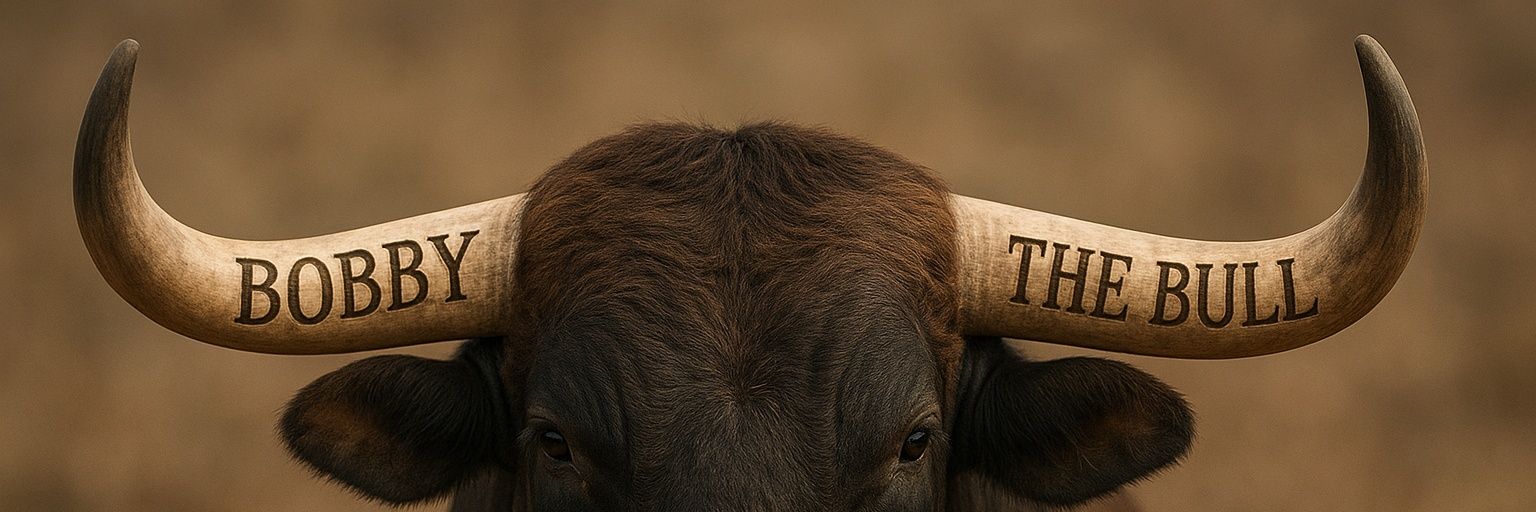 BobbyTheBull_'s profile banner image