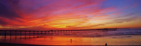 sdnews Profile Banner