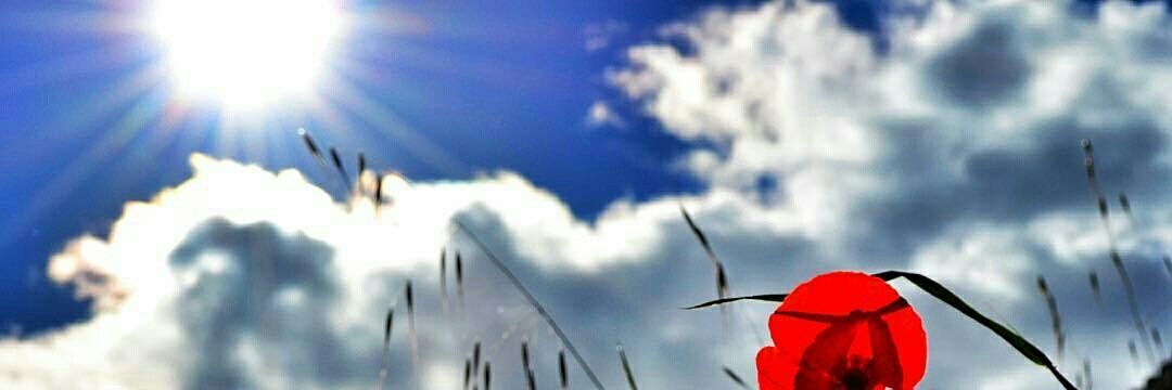 RealPaBline's profile banner image
