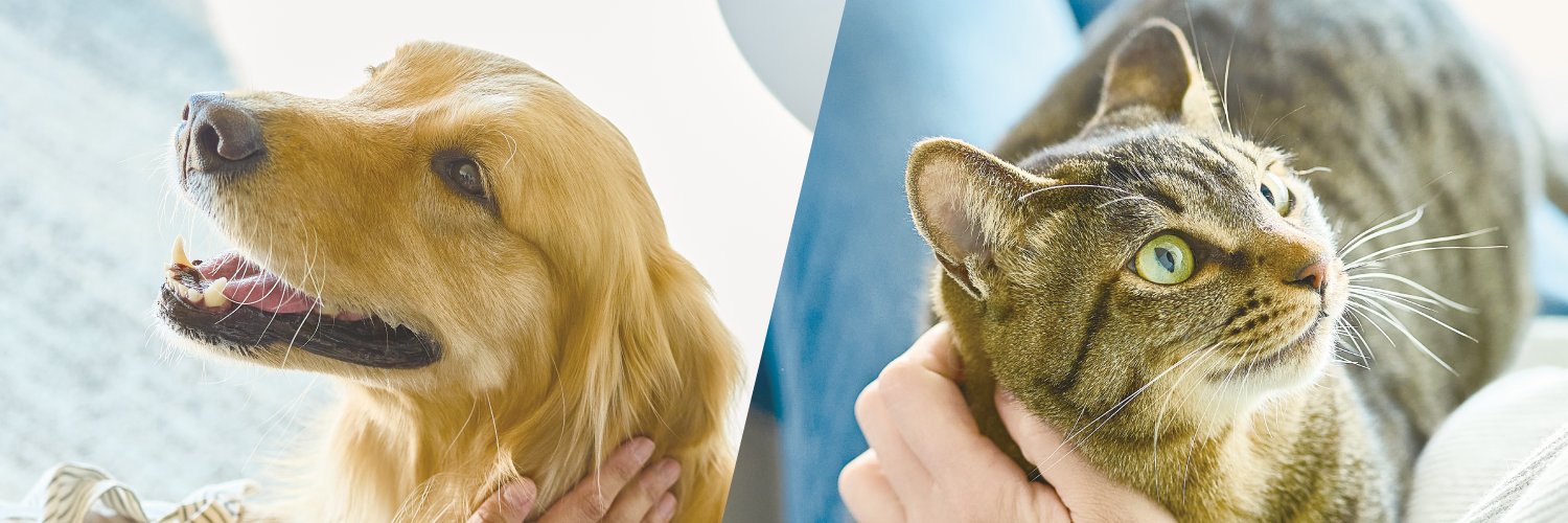 ペット保険の第一アイペット banner