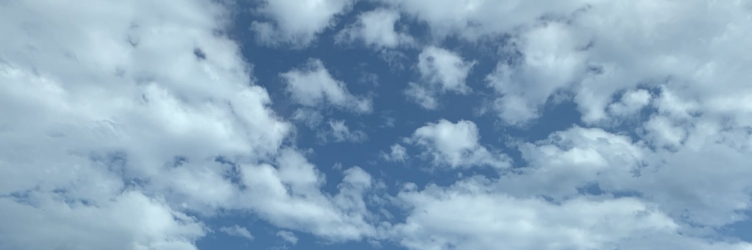irfccs's profile banner image