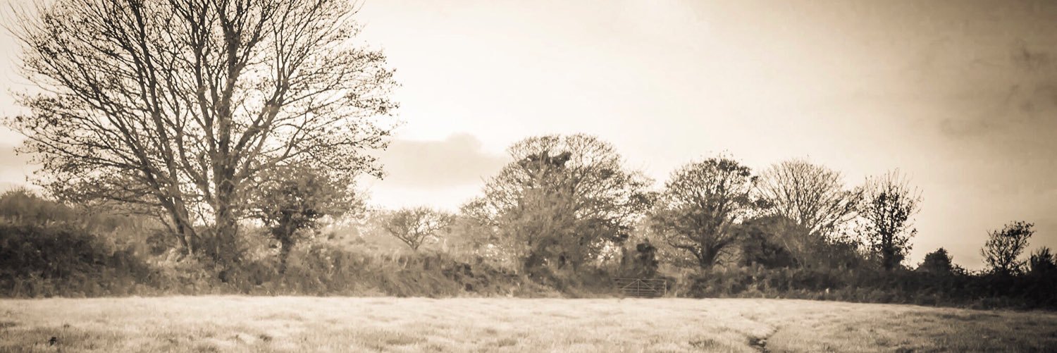 vANNilla's profile banner image