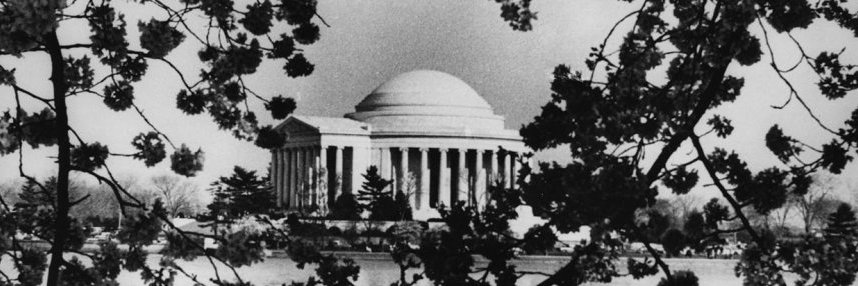 theAMofDC's profile banner image