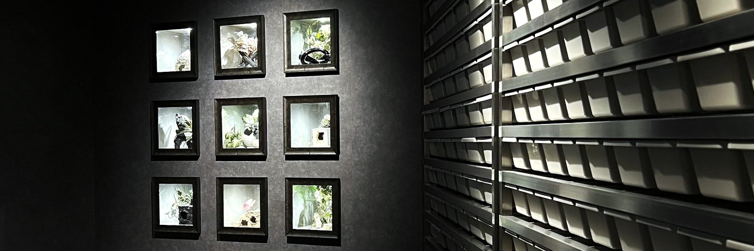 THE STOA.｜爬虫類専門店in東京 banner