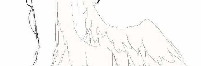 .・🪽︴eli banner