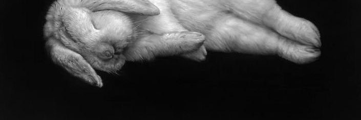 Cher1eeee's profile banner image