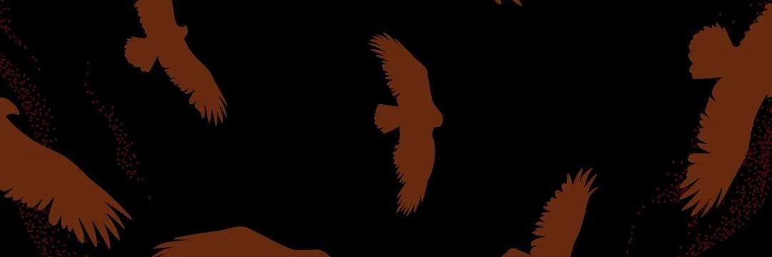 Dinoraurus🦕 banner