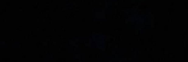 🐱 banner