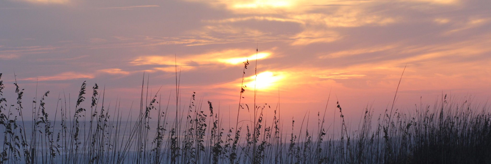 tamihardebeck's profile banner image