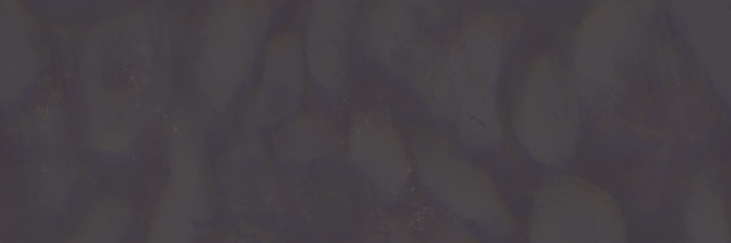 Wilmodt Payne banner