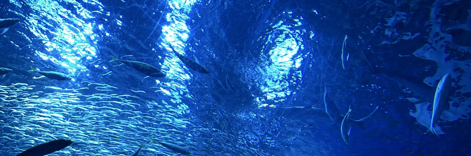 ぼたん❄️ banner