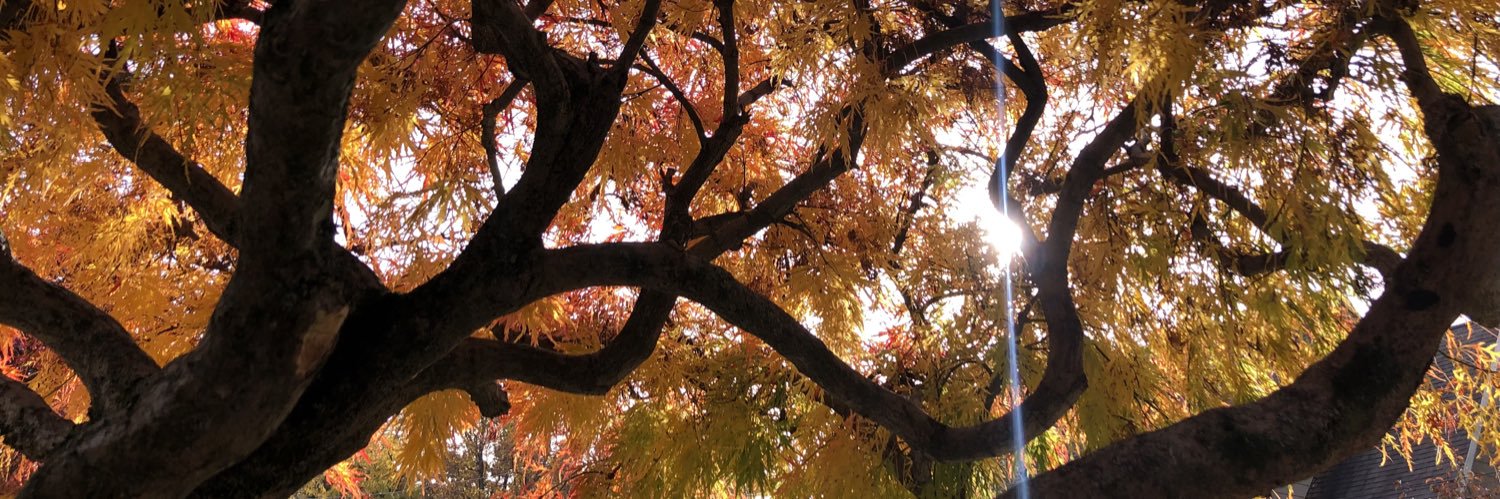 😶‍🌫️ banner