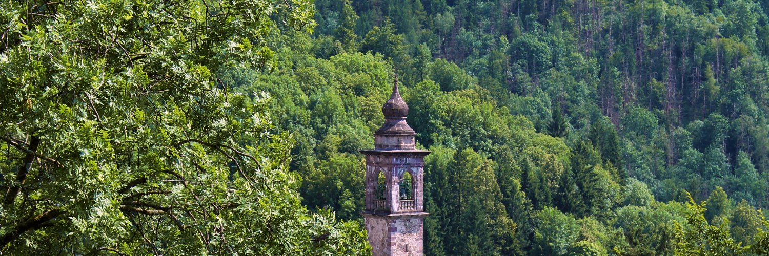 Massimo Calvi banner