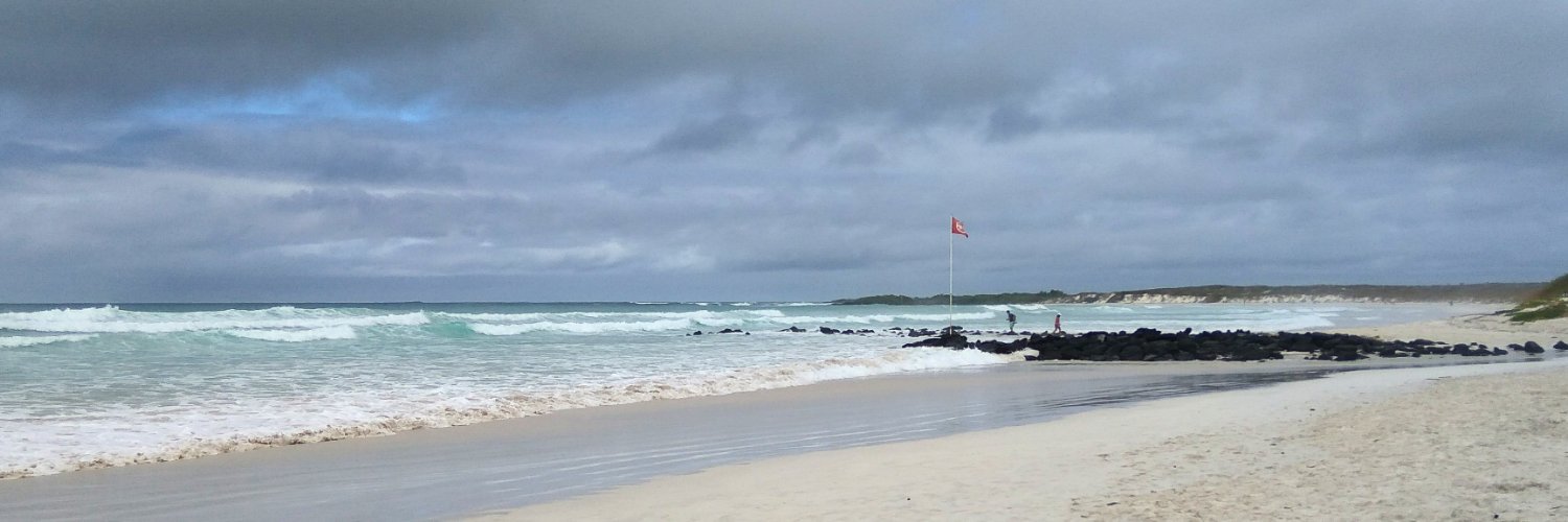 ᴮᴱstrilinga⁷ banner