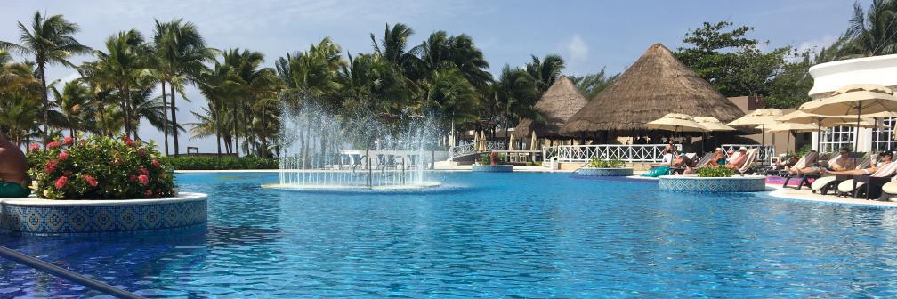 Mary Beth Bazzanella banner