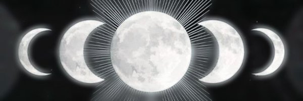 camilla_lima7 Profile Banner