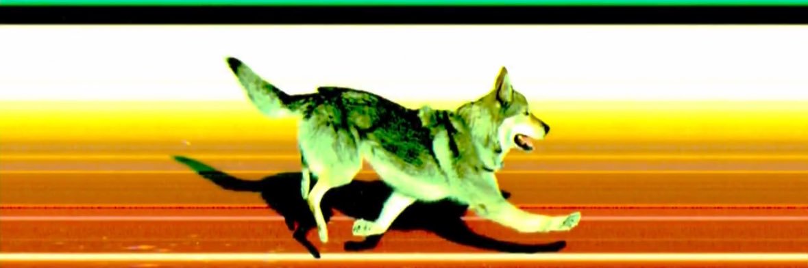 18_pda's profile banner image