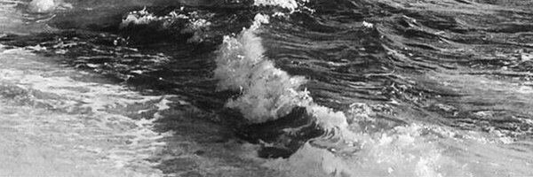 enervaitei Profile Banner