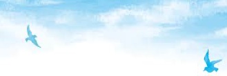 bluebird8451's profile banner image