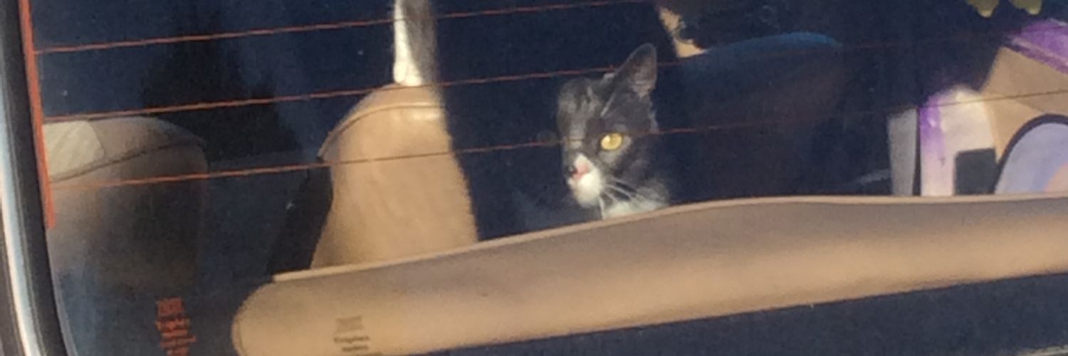 ★ Jennifer Z. Carter ★ banner