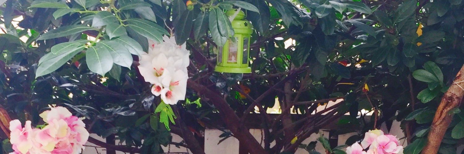 JessAnneSmith's profile banner image