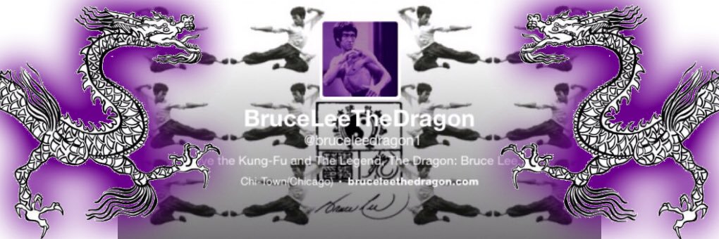 Bruce Lee The Dragon's banner