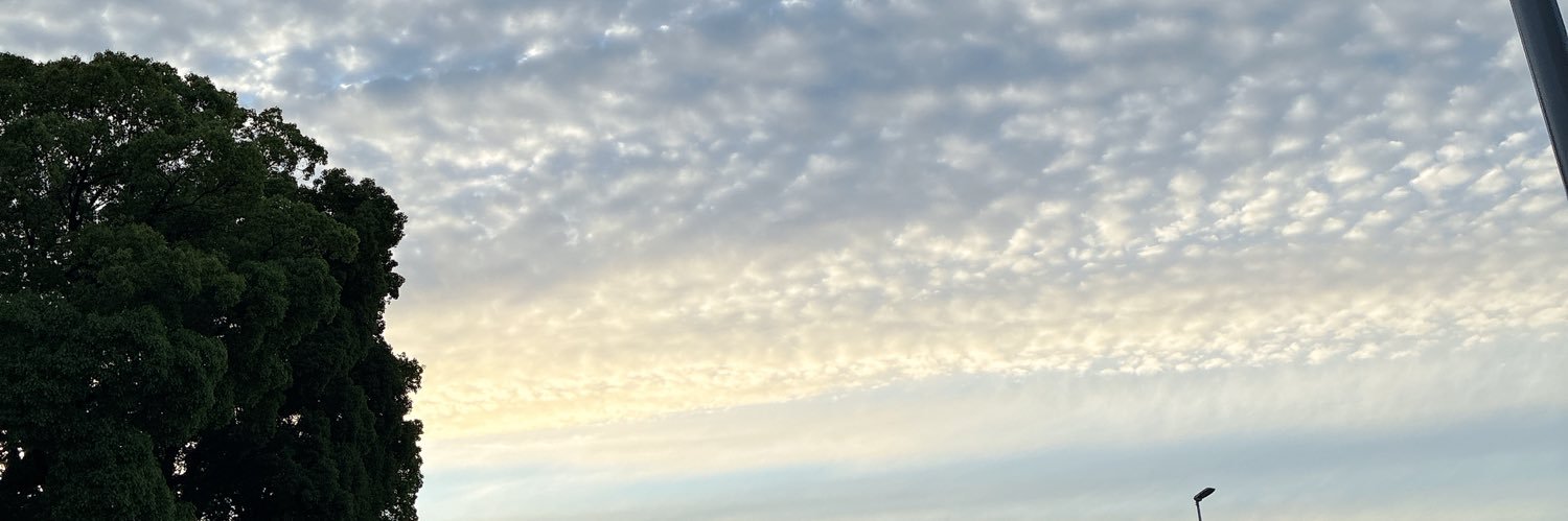 nagusuger's profile banner image
