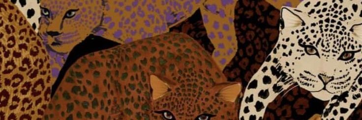 jaderibera's profile banner image