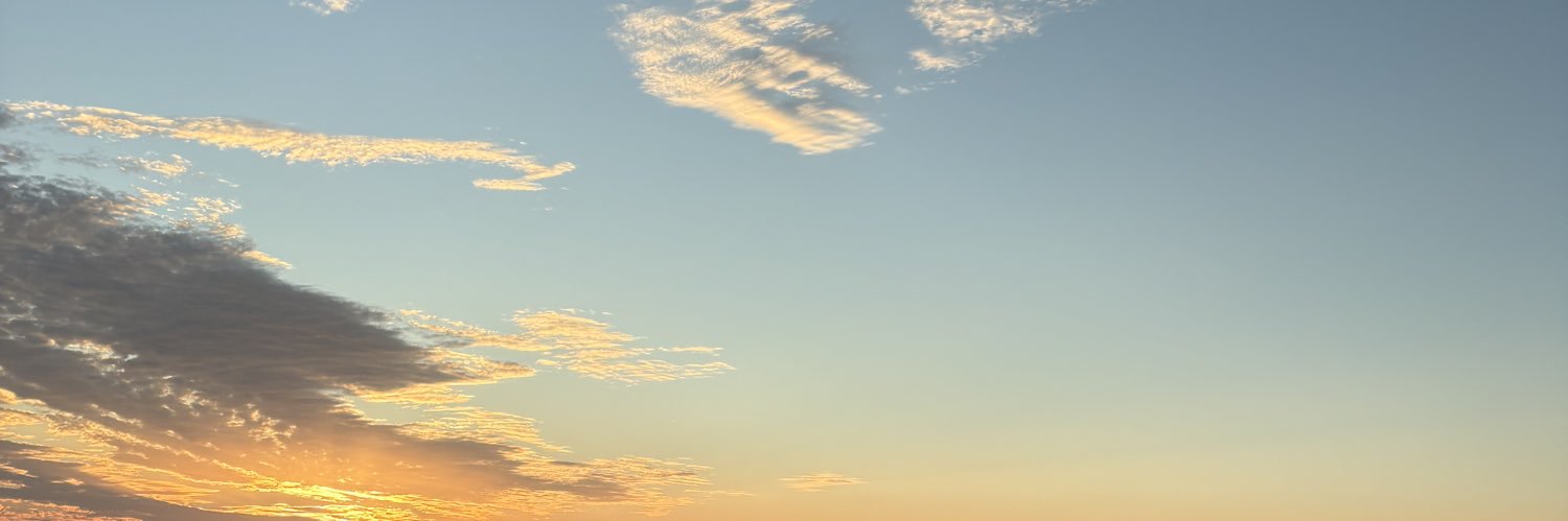 🐱 banner